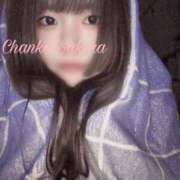 ヒメ日記 2025/03/26 23:00 投稿 さくら 京都祇園・南インターちゃんこ