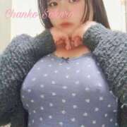 ヒメ日記 2025/03/30 21:01 投稿 さくら 京都祇園・南インターちゃんこ