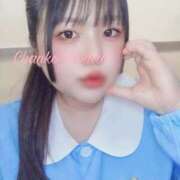 ヒメ日記 2025/03/30 23:01 投稿 さくら 京都祇園・南インターちゃんこ