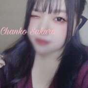 ヒメ日記 2025/04/01 18:01 投稿 さくら 京都祇園・南インターちゃんこ