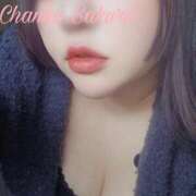 ヒメ日記 2025/04/01 23:01 投稿 さくら 京都祇園・南インターちゃんこ