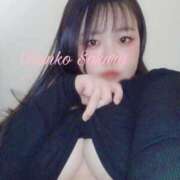 ヒメ日記 2025/04/02 18:02 投稿 さくら 京都祇園・南インターちゃんこ