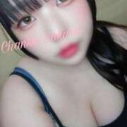 ヒメ日記 2025/04/03 08:11 投稿 さくら 京都祇園・南インターちゃんこ