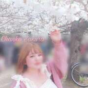 ヒメ日記 2025/04/05 23:02 投稿 さくら 京都祇園・南インターちゃんこ