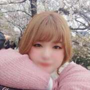 ヒメ日記 2025/04/06 14:59 投稿 さくら 京都祇園・南インターちゃんこ