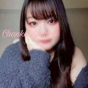 ヒメ日記 2025/04/08 07:01 投稿 さくら 京都祇園・南インターちゃんこ