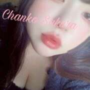 ヒメ日記 2025/04/14 15:03 投稿 さくら 京都祇園・南インターちゃんこ