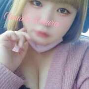 ヒメ日記 2025/04/14 18:03 投稿 さくら 京都祇園・南インターちゃんこ