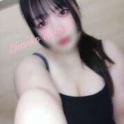 ヒメ日記 2025/04/18 07:02 投稿 さくら 京都祇園・南インターちゃんこ