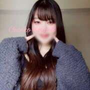 ヒメ日記 2025/04/23 18:03 投稿 さくら 京都祇園・南インターちゃんこ