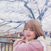 ヒメ日記 2025/04/25 22:04 投稿 さくら 京都祇園・南インターちゃんこ