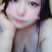 ヒメ日記 2025/04/25 23:02 投稿 さくら 京都祇園・南インターちゃんこ