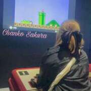 ヒメ日記 2025/04/28 17:18 投稿 さくら 京都祇園・南インターちゃんこ