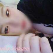 ヒメ日記 2025/04/29 23:01 投稿 さくら 京都祇園・南インターちゃんこ