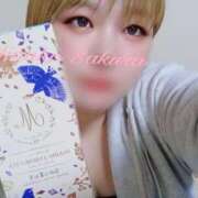 ヒメ日記 2025/04/30 01:08 投稿 さくら 京都祇園・南インターちゃんこ