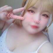 ヒメ日記 2025/04/30 06:00 投稿 さくら 京都祇園・南インターちゃんこ