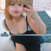 ヒメ日記 2025/04/30 14:00 投稿 さくら 京都祇園・南インターちゃんこ