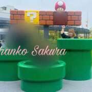 ヒメ日記 2025/04/30 23:02 投稿 さくら 京都祇園・南インターちゃんこ