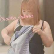 ヒメ日記 2025/05/04 07:01 投稿 さくら 京都祇園・南インターちゃんこ