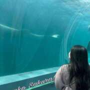 ヒメ日記 2025/05/04 12:04 投稿 さくら 京都祇園・南インターちゃんこ