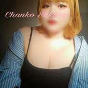 ヒメ日記 2025/05/08 23:27 投稿 さくら 京都祇園・南インターちゃんこ