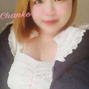 ヒメ日記 2025/05/13 17:06 投稿 さくら 京都祇園・南インターちゃんこ