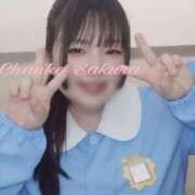 ヒメ日記 2025/05/16 13:15 投稿 さくら 京都祇園・南インターちゃんこ