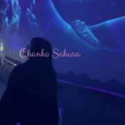 ヒメ日記 2025/05/29 07:01 投稿 さくら 京都祇園・南インターちゃんこ