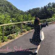 ヒメ日記 2025/06/01 07:01 投稿 さくら 京都祇園・南インターちゃんこ