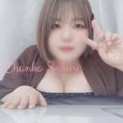 ヒメ日記 2025/06/01 13:00 投稿 さくら 京都祇園・南インターちゃんこ