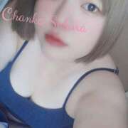 ヒメ日記 2025/06/05 11:00 投稿 さくら 京都祇園・南インターちゃんこ