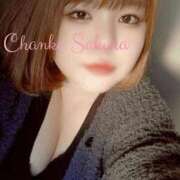 ヒメ日記 2025/06/11 11:30 投稿 さくら 京都祇園・南インターちゃんこ