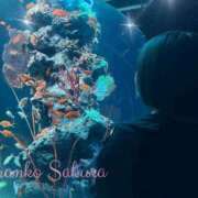 ヒメ日記 2025/06/17 07:01 投稿 さくら 京都祇園・南インターちゃんこ