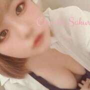 ヒメ日記 2025/06/17 11:00 投稿 さくら 京都祇園・南インターちゃんこ