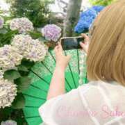 ヒメ日記 2025/06/18 15:05 投稿 さくら 京都祇園・南インターちゃんこ