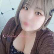 ヒメ日記 2025/06/19 15:00 投稿 さくら 京都祇園・南インターちゃんこ