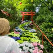 ヒメ日記 2025/06/26 07:01 投稿 さくら 京都祇園・南インターちゃんこ