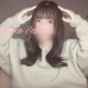 ヒメ日記 2025/06/30 13:58 投稿 さくら 京都祇園・南インターちゃんこ