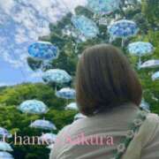 ヒメ日記 2025/07/01 07:01 投稿 さくら 京都祇園・南インターちゃんこ