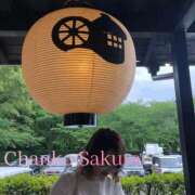 ヒメ日記 2025/07/03 07:01 投稿 さくら 京都祇園・南インターちゃんこ