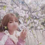 ヒメ日記 2025/07/03 12:02 投稿 さくら 京都祇園・南インターちゃんこ