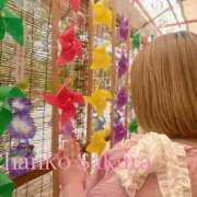 ヒメ日記 2025/07/05 07:01 投稿 さくら 京都祇園・南インターちゃんこ