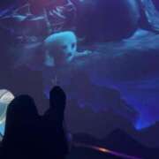 ヒメ日記 2025/07/12 16:01 投稿 さくら 京都祇園・南インターちゃんこ