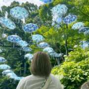 ヒメ日記 2025/07/13 07:04 投稿 さくら 京都祇園・南インターちゃんこ