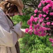 ヒメ日記 2025/07/18 15:01 投稿 さくら 京都祇園・南インターちゃんこ