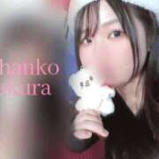 ヒメ日記 2025/07/25 15:01 投稿 さくら 京都祇園・南インターちゃんこ