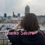 ヒメ日記 2025/07/31 07:02 投稿 さくら 京都祇園・南インターちゃんこ