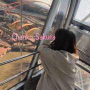 ヒメ日記 2025/07/31 15:01 投稿 さくら 京都祇園・南インターちゃんこ