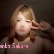 ヒメ日記 2025/08/02 11:01 投稿 さくら 京都祇園・南インターちゃんこ