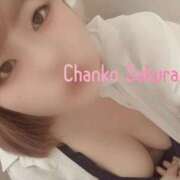 ヒメ日記 2025/08/06 14:49 投稿 さくら 京都祇園・南インターちゃんこ